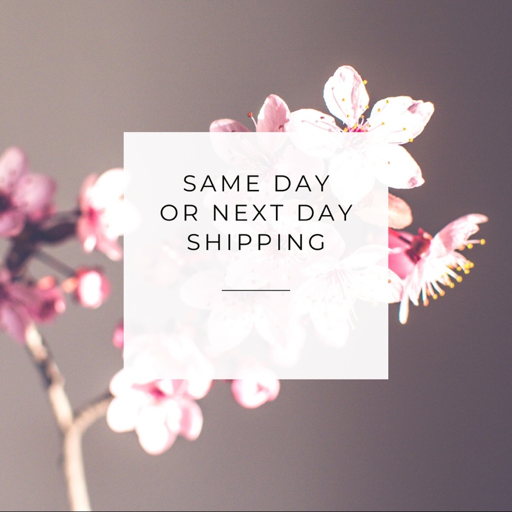 Same Day or Next Day shipping!! 💕